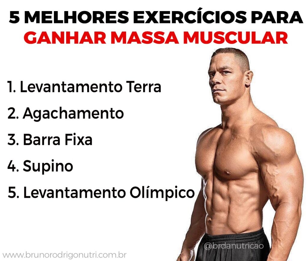 Melhores Exercicios para Ganhar Massa Muscular
