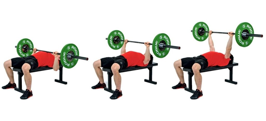 supino reto com barra, um dos melhores exercícios para ganhar massa muscular no peitoral.