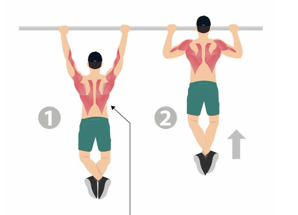 barra fixa, um melhores exercícios para ganhar massa muscular nas costas.