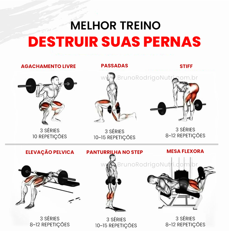 melhor treino de pernas