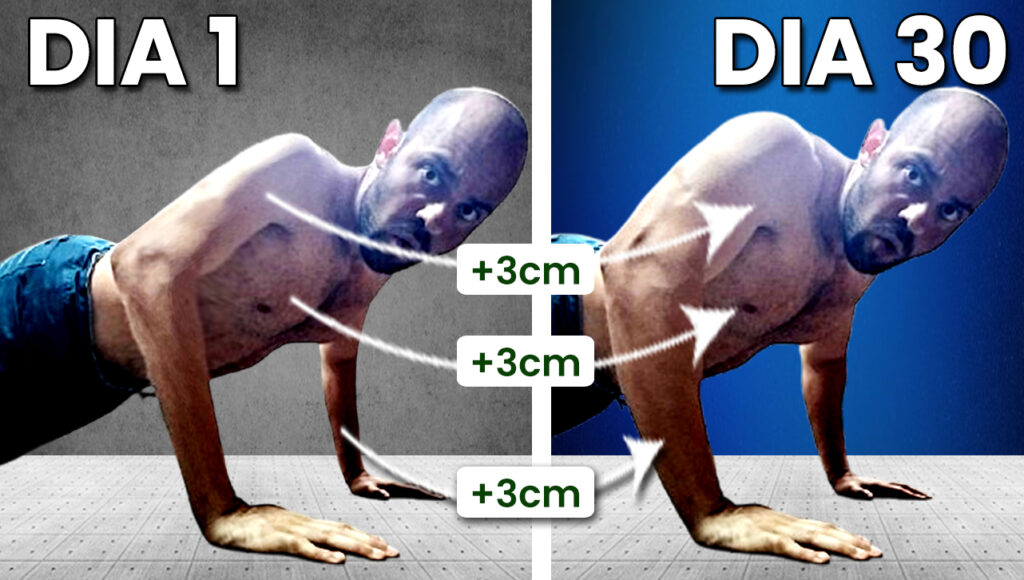 Quantas Flexoes Devo Fazer Por Dia Para Ganhar Massa Muscular